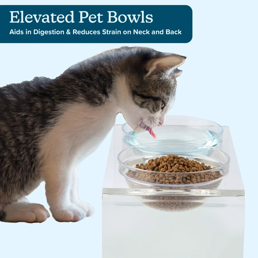 Elevated Dog Cat Bowls Set with Acrylic Stand 7.1 Inch Tall Four Bowls Included Easy Clean Modern Design Stable Feeding Station