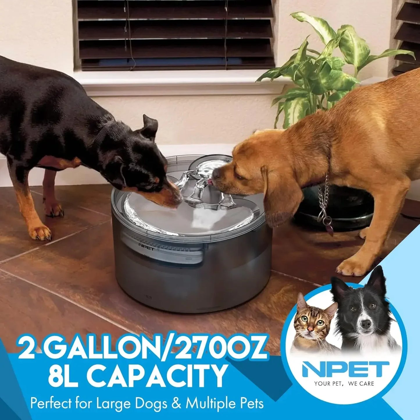 NPET Dog Water Fountain 2 Gallon 270oz 8L Large Automatic Dog Water Dispenser with Splatter Guard for Large Dogs and Multiple Pets