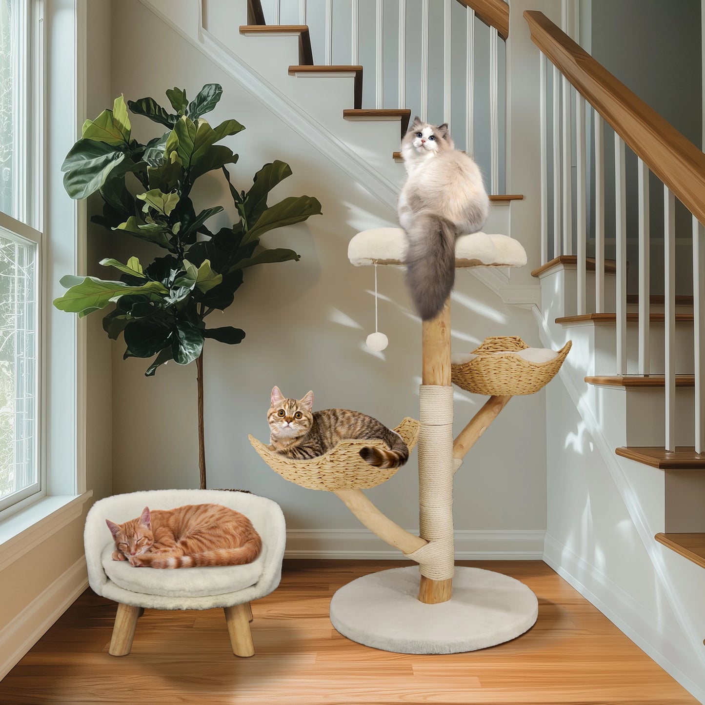 Bingopaw Cat Tree Tower Condo Furniture with Scratch Post for Kittens and Pet House Play
