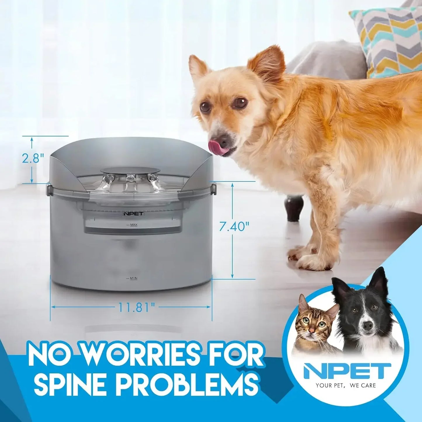 NPET Dog Water Fountain 2 Gallon 270oz 8L Large Automatic Dog Water Dispenser with Splatter Guard for Large Dogs and Multiple Pets