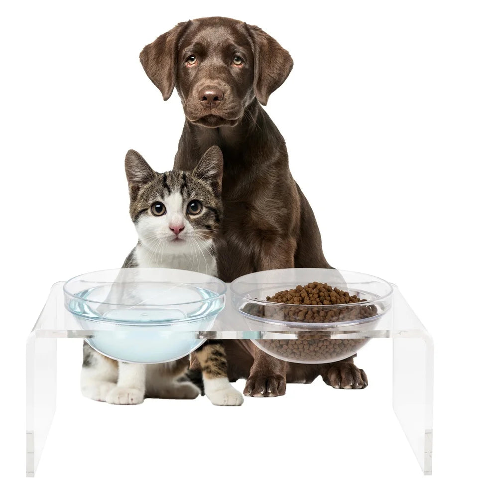 Elevated Dog Cat Bowls Set with Acrylic Stand 7.1 Inch Tall Four Bowls Included Easy Clean Modern Design Stable Feeding Station