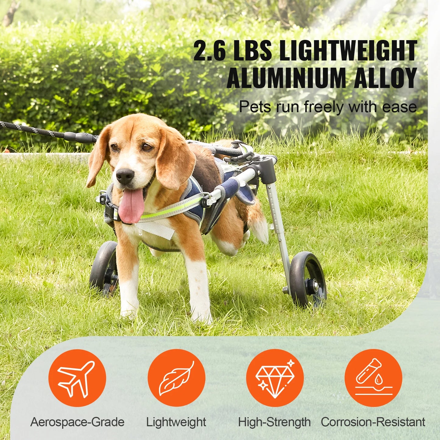 Hign Concerned SucceBuy 2 Wheel Dog Wheelchair Hind Limbs