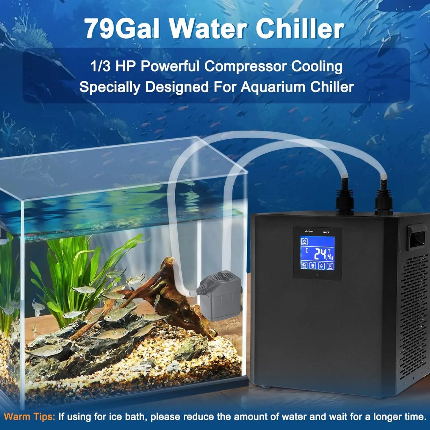 Aquarium Chiller One Third HP With Remote Control Pump Tanks