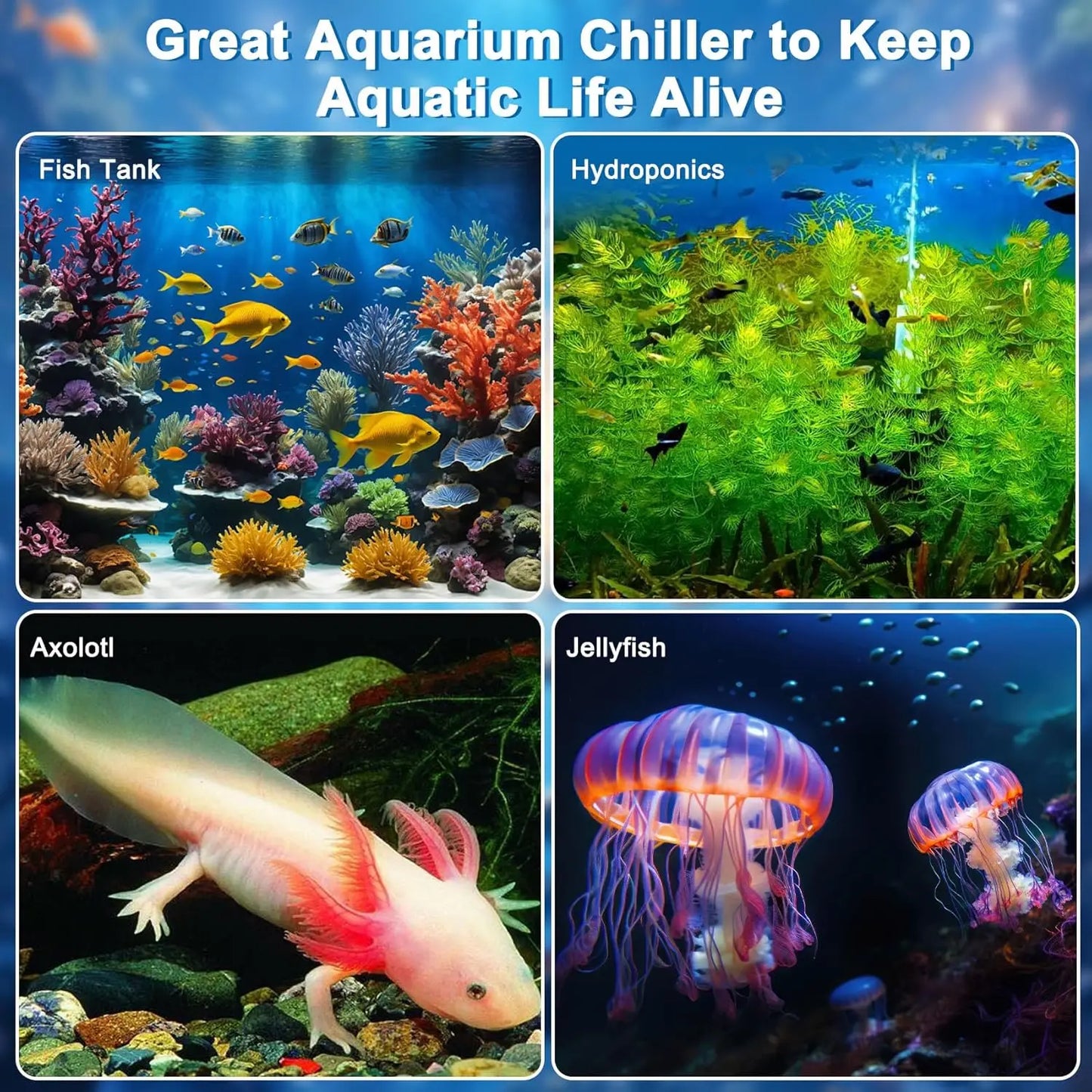 Aquarium Chiller One Third HP With Remote Control Pump Tanks
