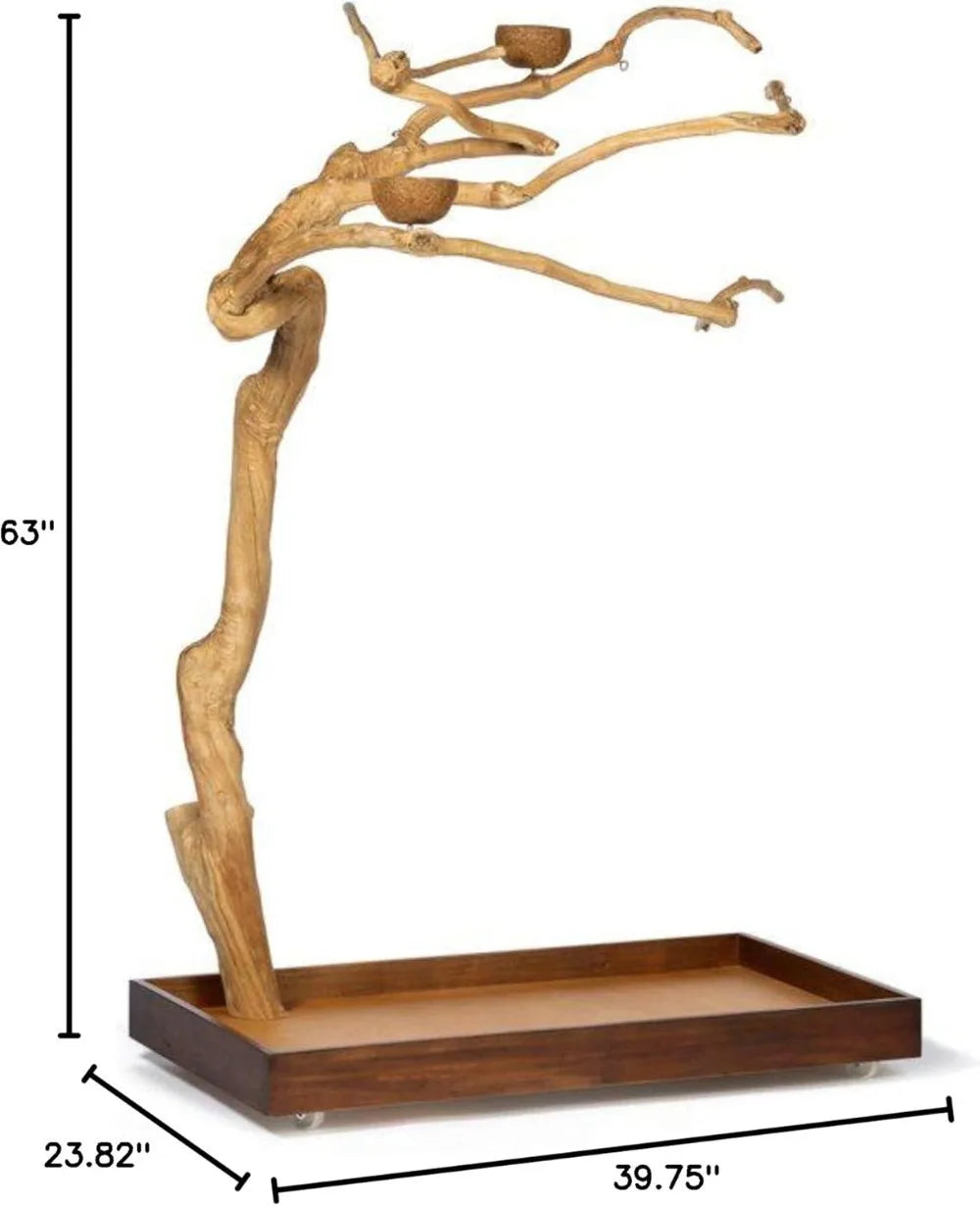 High Concerned Coffeawood Bird Perch Tree Style 2 Stand