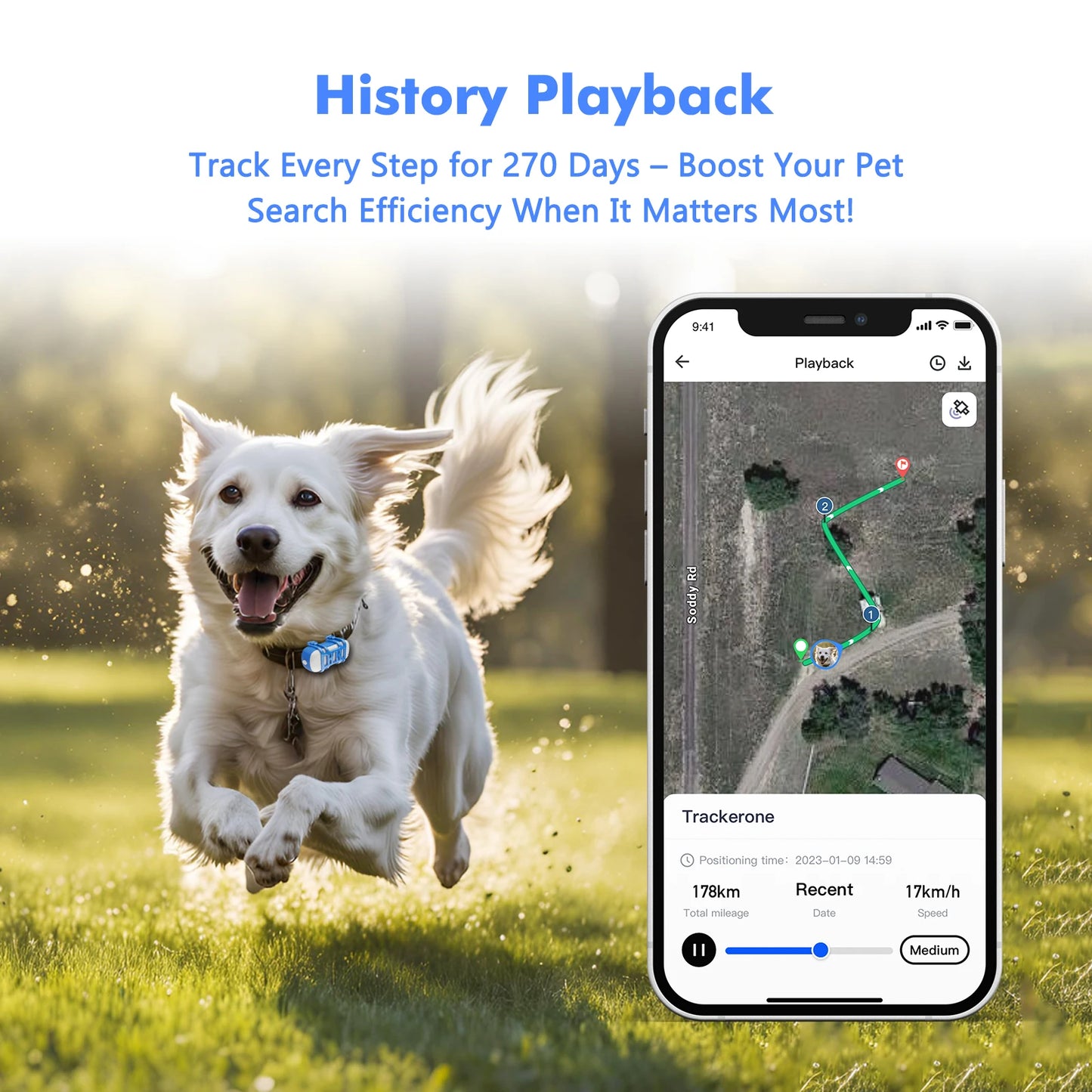 4G Dog Cat GPS Tracker for Pets Waterproof Smart Locator with App Live Tracking and Light Sound Search Free Trial Included