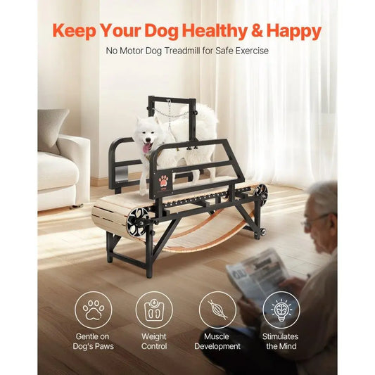 Heavy Duty Dog Treadmill for Medium Dogs Indoor Pet Exercise Machine Adjustable for Home Use