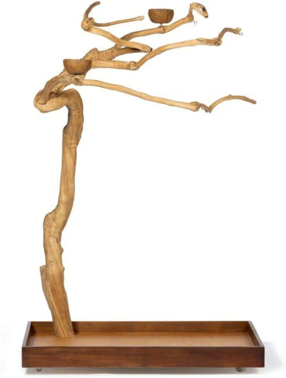 High Concerned Coffeawood Bird Perch Tree Style 2 Stand