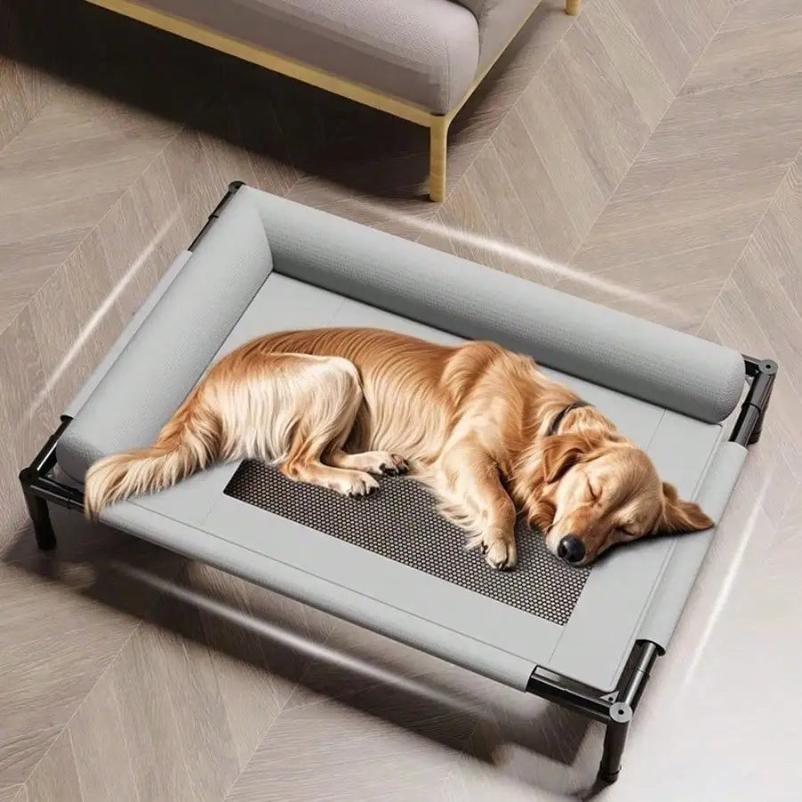 CN Guangdong All Seasons Dog Bed Removable Washable Cat Bed