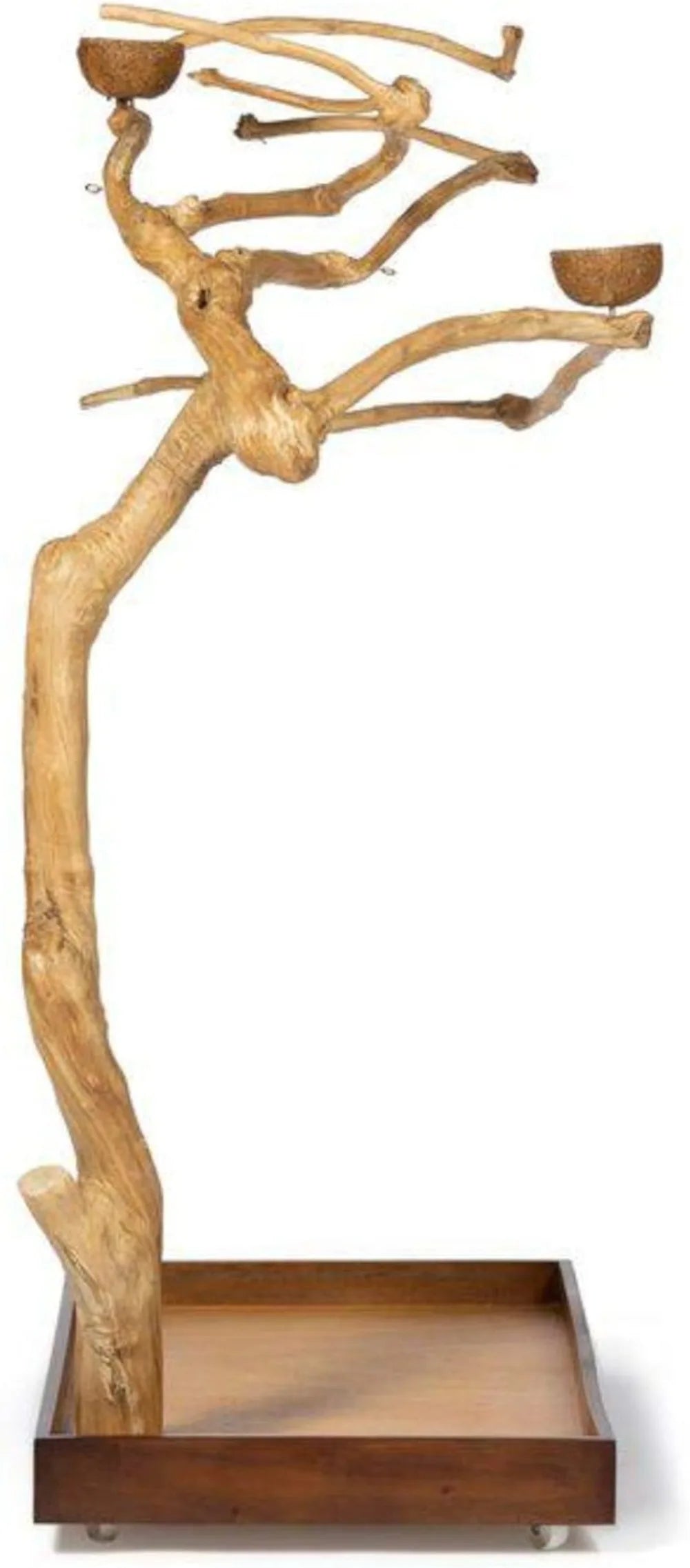 High Concerned Coffeawood Bird Perch Tree Style 2 Stand